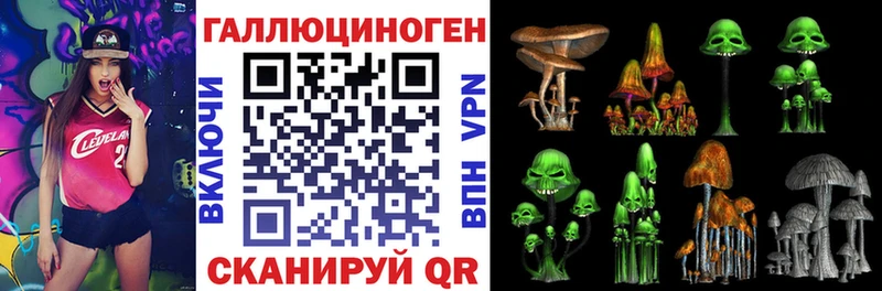 KRAKEN как зайти  Зима  Псилоцибиновые грибы Psilocybe 